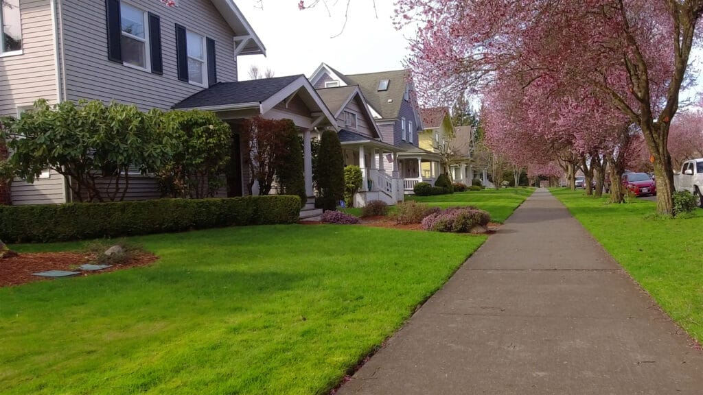 walking-along-an-american-suburban-neighborhood-sidewalk-on-a-sunny-spring-day