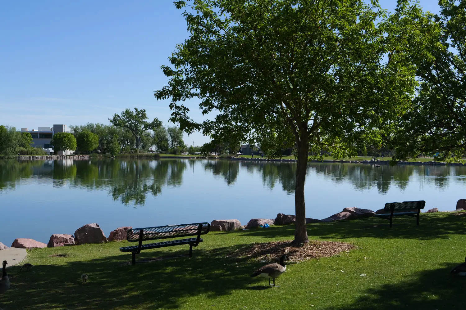 The Best Denver Suburbs for Families in 2026